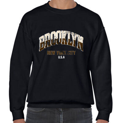  Brooklyn New York City 8671962 Thumbnail