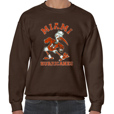 Miami Hurricanes 8211962 Thumbnail