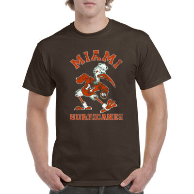 Miami Hurricanes 8211962 Thumbnail