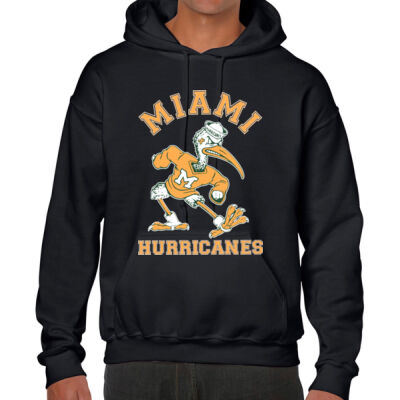 Miami Hurricanes 8201962 Thumbnail