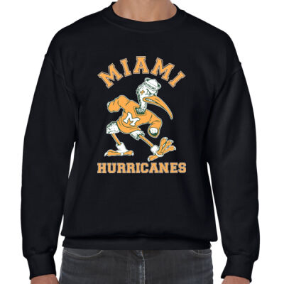 Miami Hurricanes 8201962 Thumbnail
