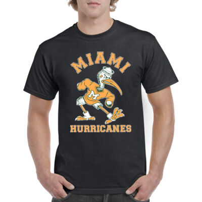 Miami Hurricanes 8201962 Thumbnail