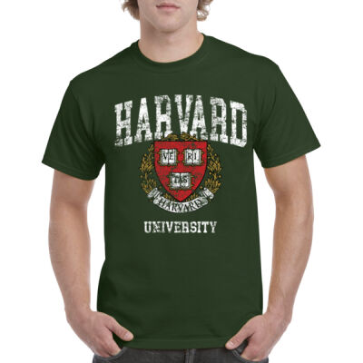 Harvard 8881962  Thumbnail