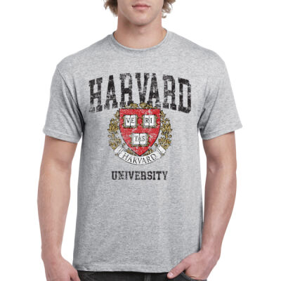 Harvard 8891962 Thumbnail